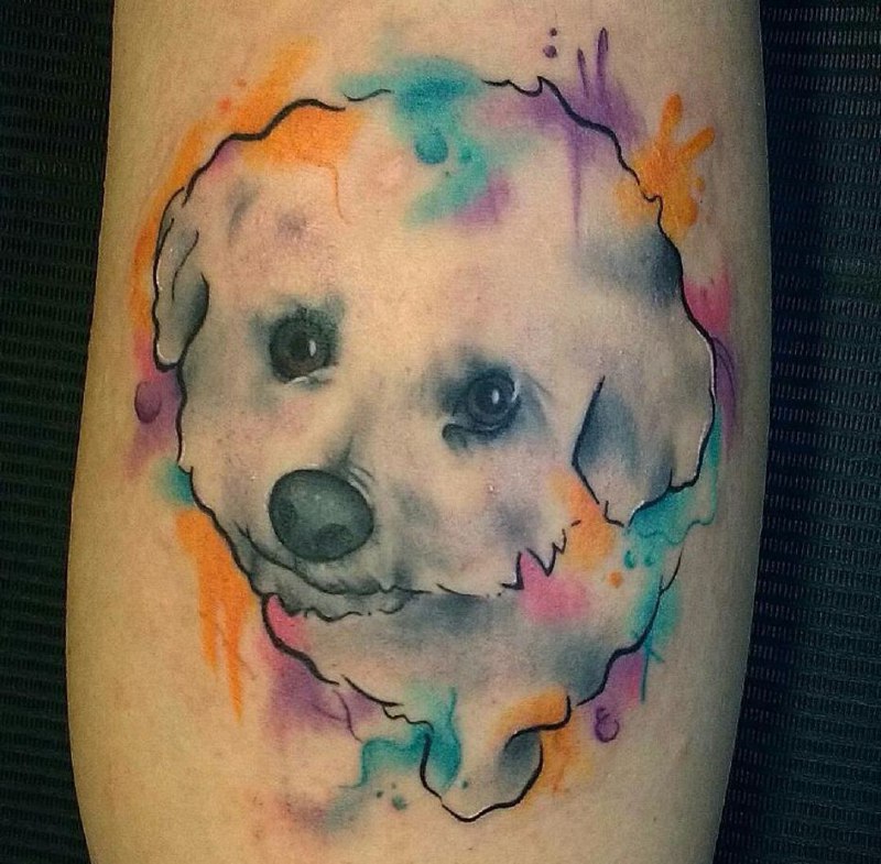 15 Ideas for Bichon Frise Tattoo 9