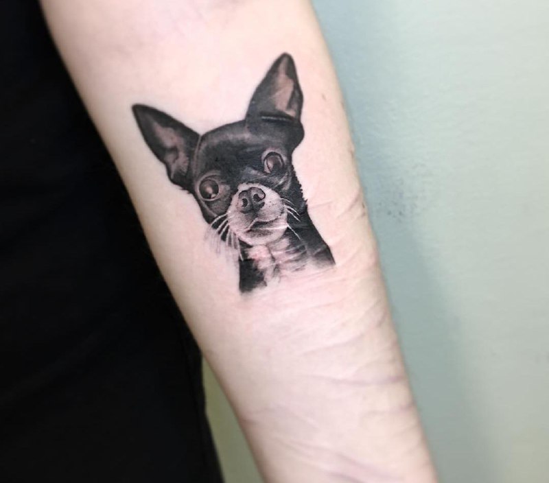 15 Chihuahua Tattoo Ideas 43 15 Chihuahua Tattoo Ideas 43