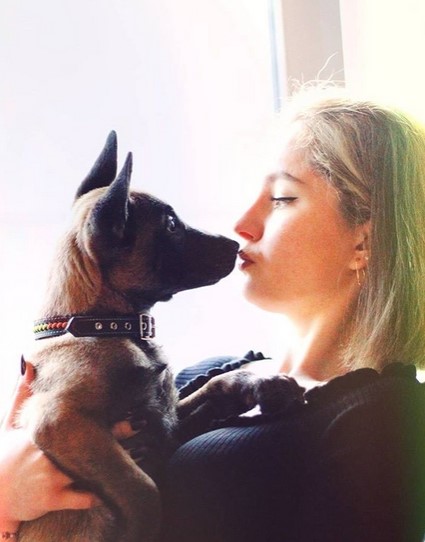 15 Pictures That Prove Belgian Malinoises Are Perfect Weirdos 11