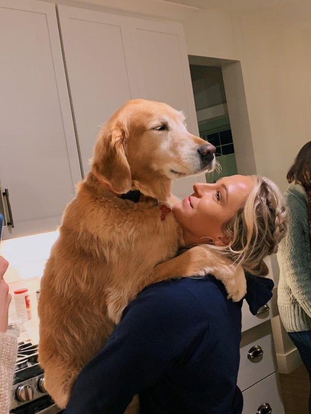 15 Realities That New Golden Retriever Owners Must Accept 11