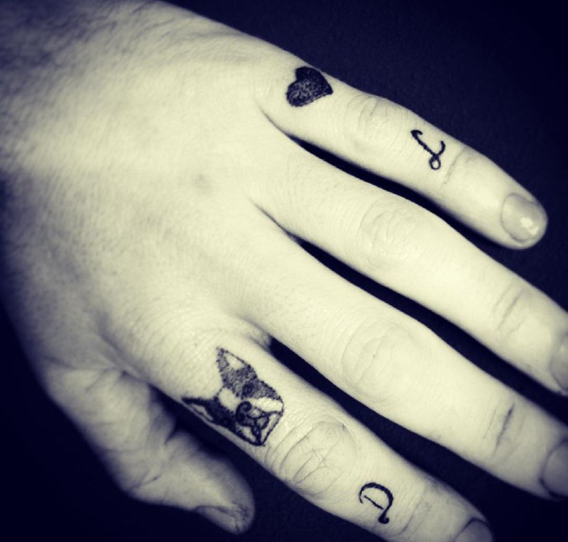 16 Boston Terrier Tattoo Ideas 10