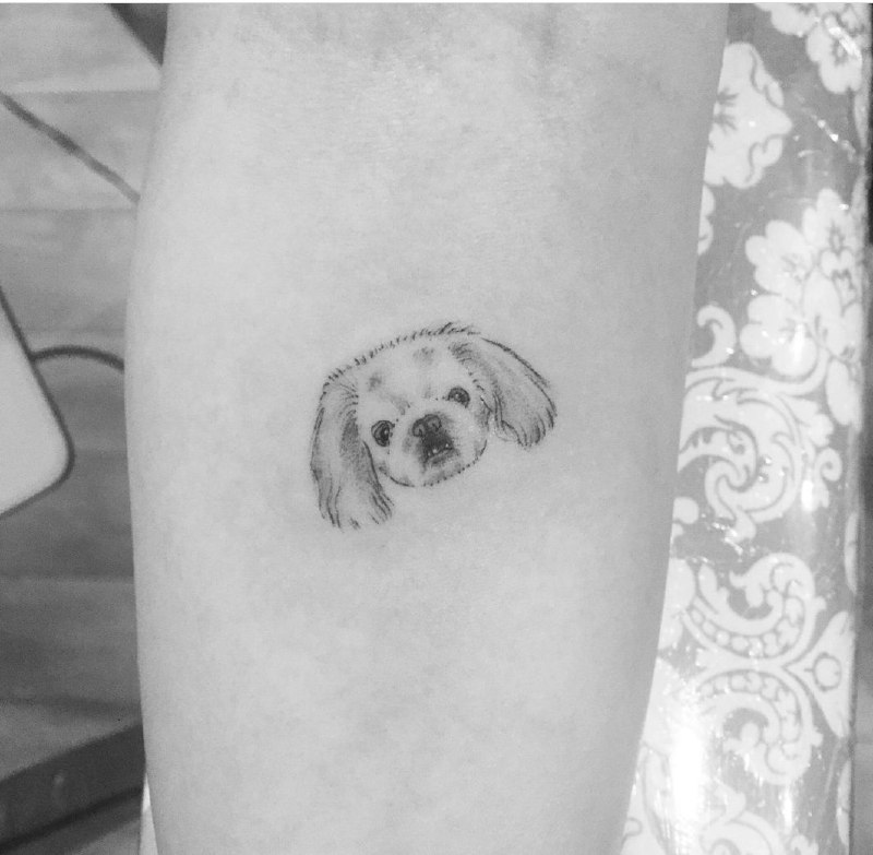 15 Ideas for Pekingese Tattoo 11