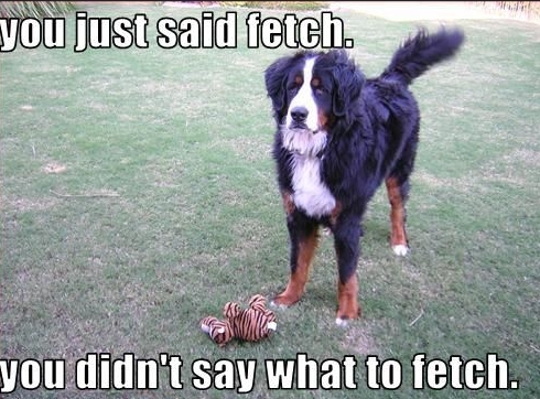 15 Funny Bernese Mountain Dog Memes To Make Your Day 11 15 Funny Bernese Mountain Dog Memes To Make Your Day 11