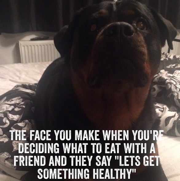 15 Funny Rottweiler Memes To Make Your Day 9
