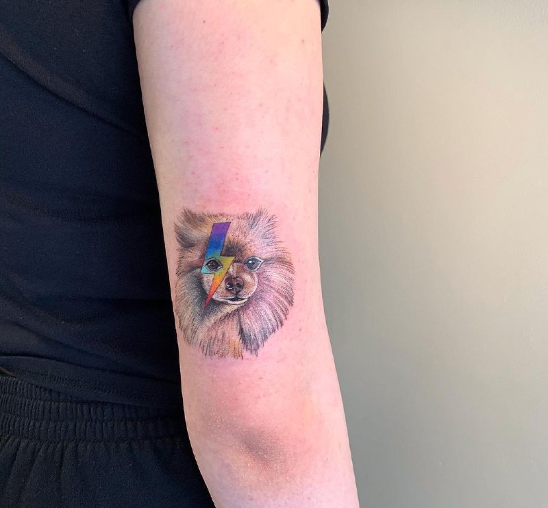 15 Pomeranian Spitz Tattoo Ideas 46 15 Pomeranian Spitz Tattoo Ideas 46