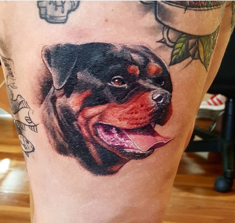 15 Ideas for a Rottweiler Tattoo 10