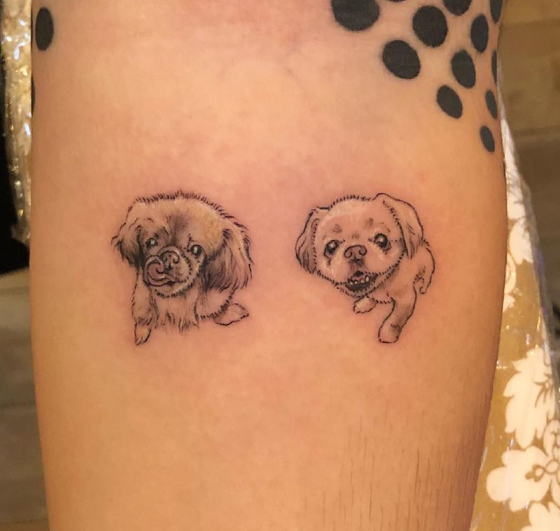 15 Ideas for Pekingese Tattoo 10