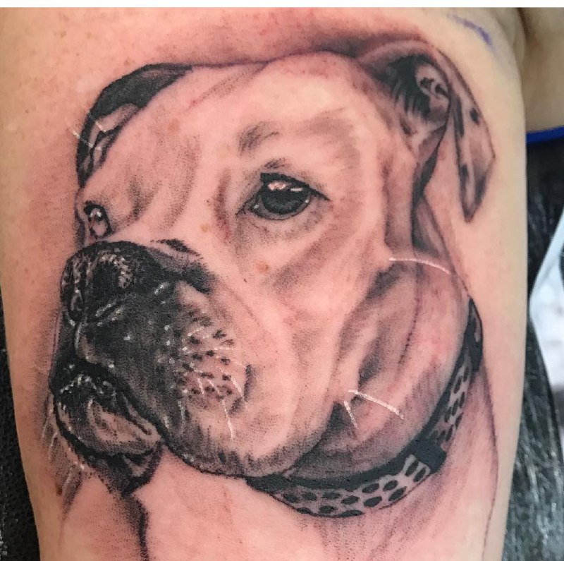 15 Boxer Tattoo Ideas 34 15 Boxer Tattoo Ideas 34