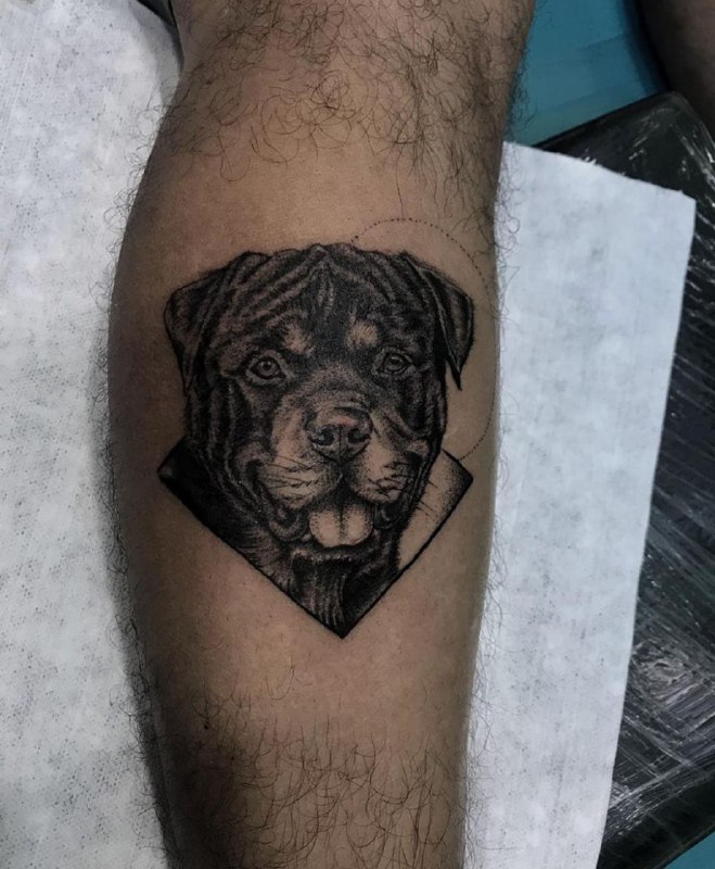 15 Ideas for a Rottweiler Tattoo 11