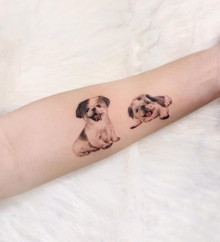 15 Ideas for Pekingese Tattoo 11