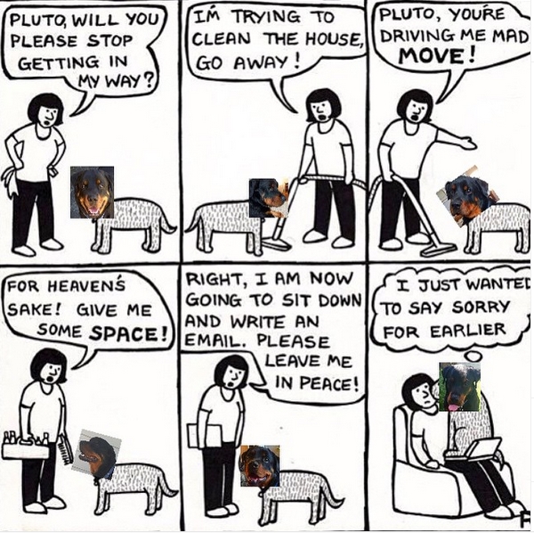 15 Funny Rottweiler Memes To Make Your Day 11 15 Funny Rottweiler Memes To Make Your Day 11