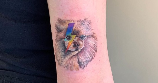 15 Pomeranian Spitz Tattoo Ideas