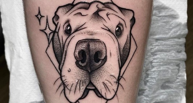 15 Ideas for Shar Pei Tattoo