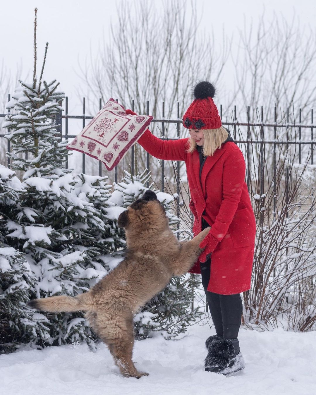 15 Interesting Facts About Leonbergers 10