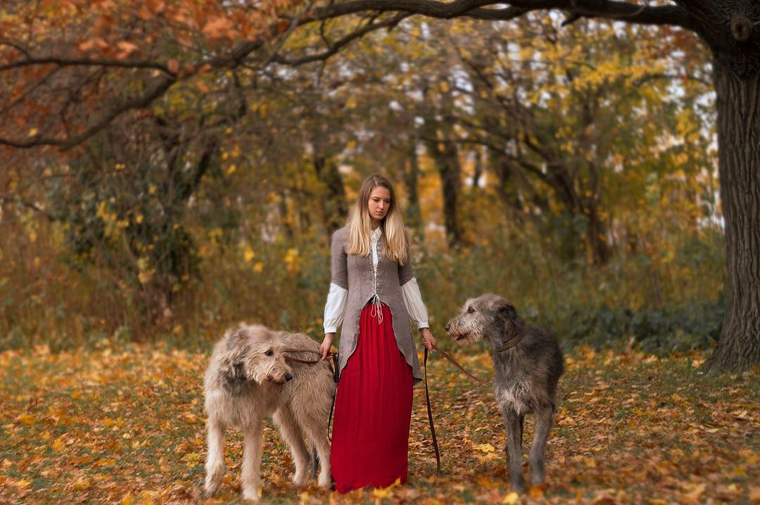 16 Interesting Facts About Irish Wolfhounds 10