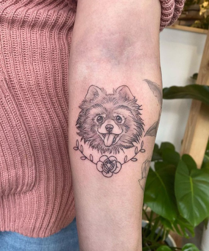 15 Pomeranian Spitz Tattoo Ideas 34 15 Pomeranian Spitz Tattoo Ideas 34