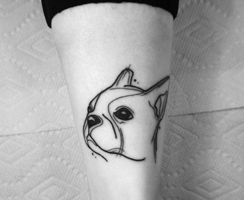 16 Boston Terrier Tattoo Ideas 11