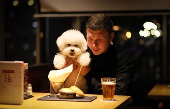 15 Pictures That Prove Bichon Frises Are Perfect Weirdos 10 15 Pictures That Prove Bichon Frises Are Perfect Weirdos 10