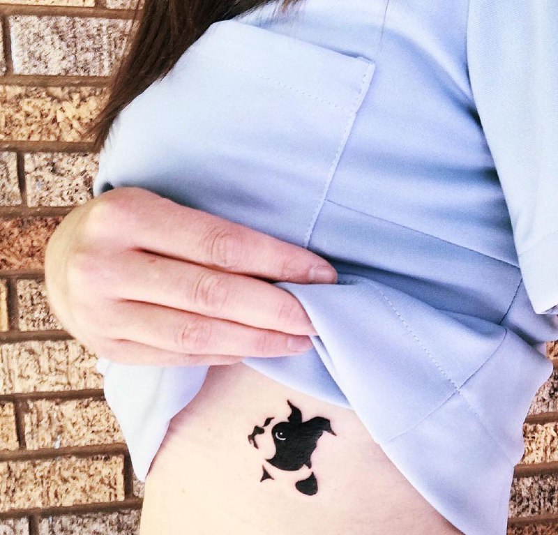 16 Boston Terrier Tattoo Ideas 10
