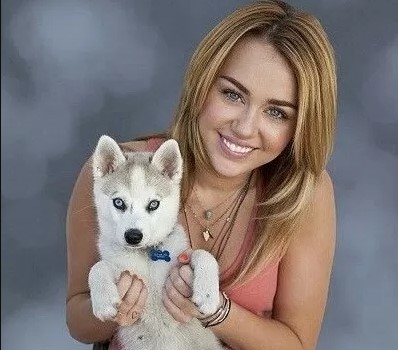 15 Celebrities Who Are Major Husky Lovers