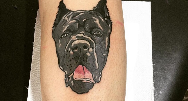 15 Tattoo Ideas With Cane Corso