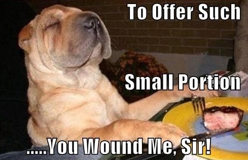 15 Funny Shar-Pei Memes To Make Your Day 9