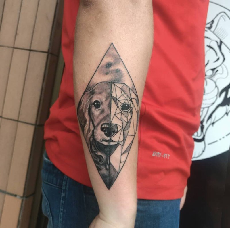 15 Cocker Spaniel Tattoo Ideas 9
