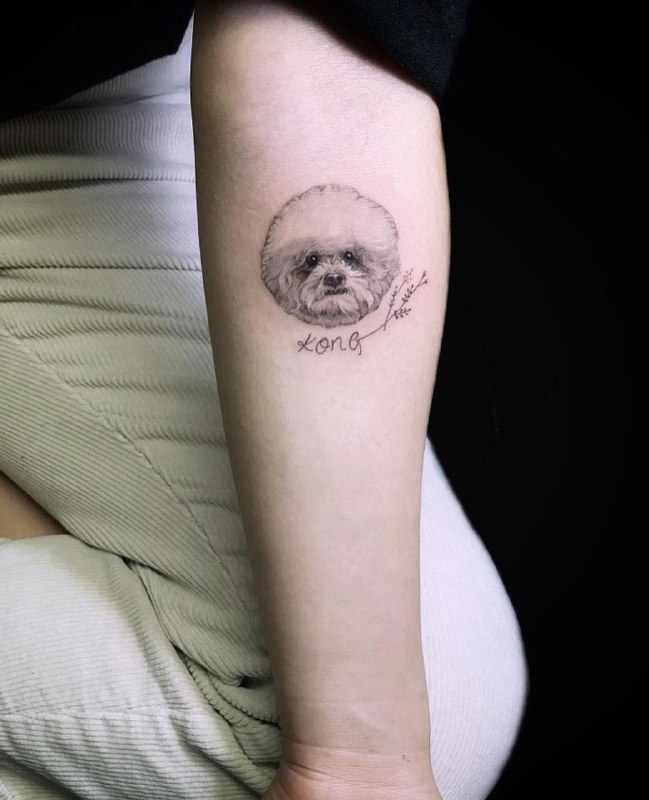 15 Ideas for Bichon Frise Tattoo 9