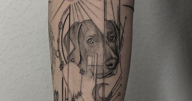 15 Ideas for a Weimaraner Tattoo