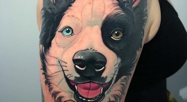 15 Border Collie Tattoo Ideas