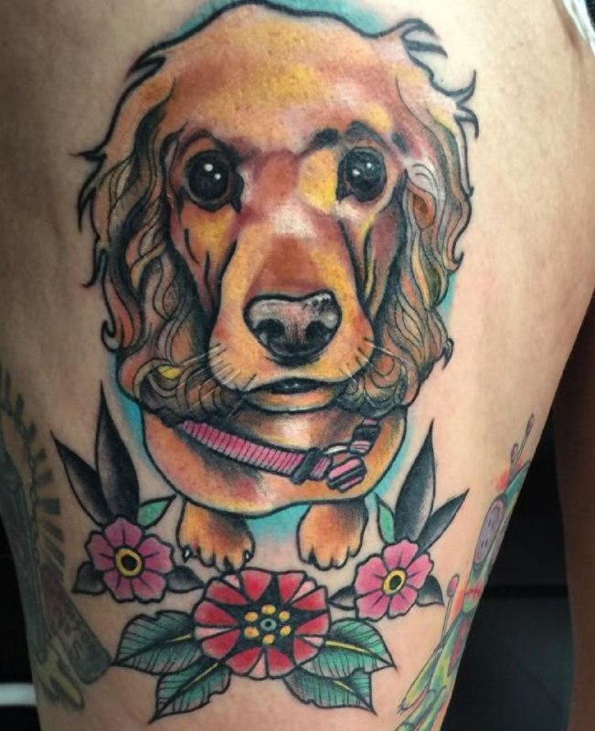 15 Cocker Spaniel Tattoo Ideas 11