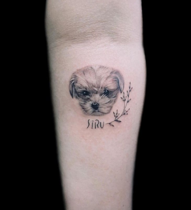 15 Ideas for Bichon Frise Tattoo 11