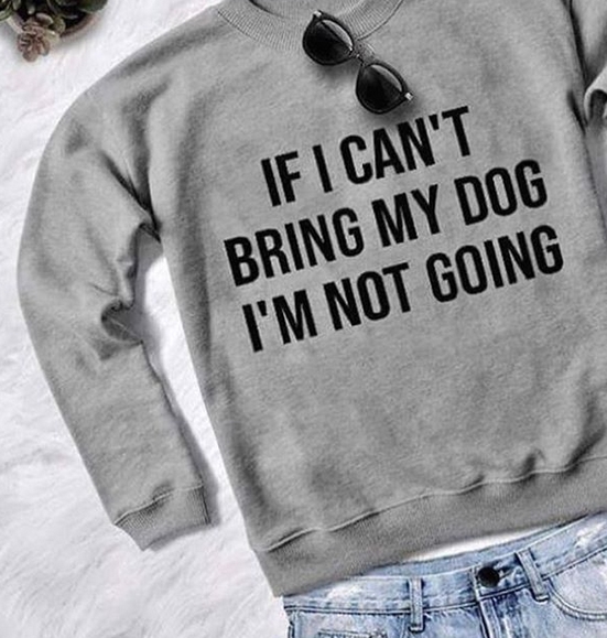 15 Funny French Bulldog Memes To Make Your Day 11