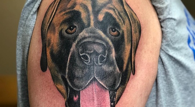 15 Ideas for an English Mastiff Tattoo
