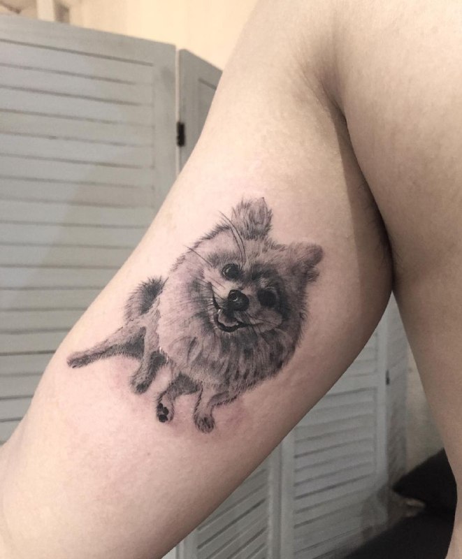 15 Pomeranian Spitz Tattoo Ideas 39 15 Pomeranian Spitz Tattoo Ideas 39