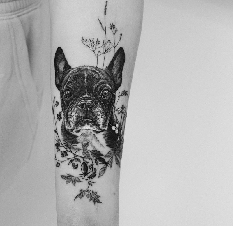 16 French Bulldog Tattoo Ideas 9