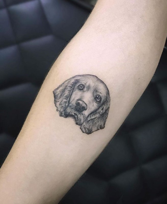 15 Cocker Spaniel Tattoo Ideas 9
