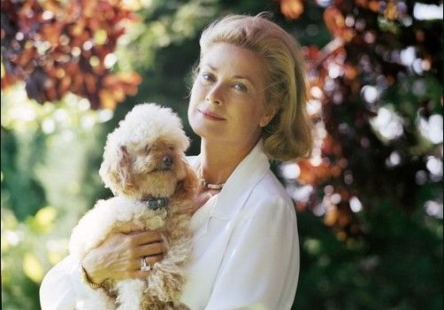 16 Celebrities Who Are Major Poodle Lovers