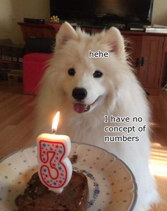 15 Funny Samoyed Memes To Make Your Day 10