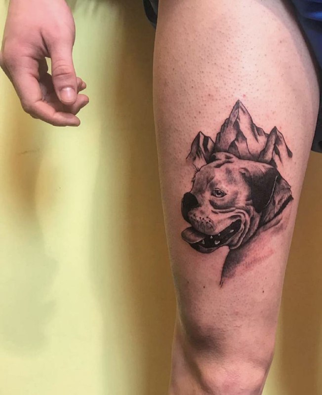 15 Boxer Tattoo Ideas 41 15 Boxer Tattoo Ideas 41