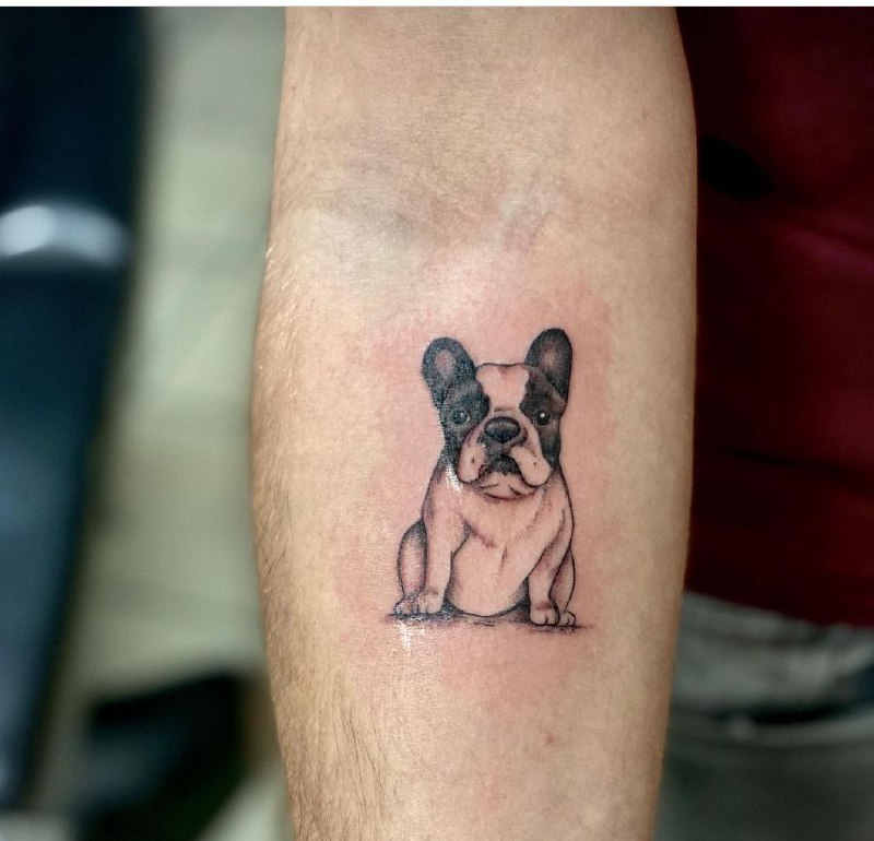 16 French Bulldog Tattoo Ideas 10