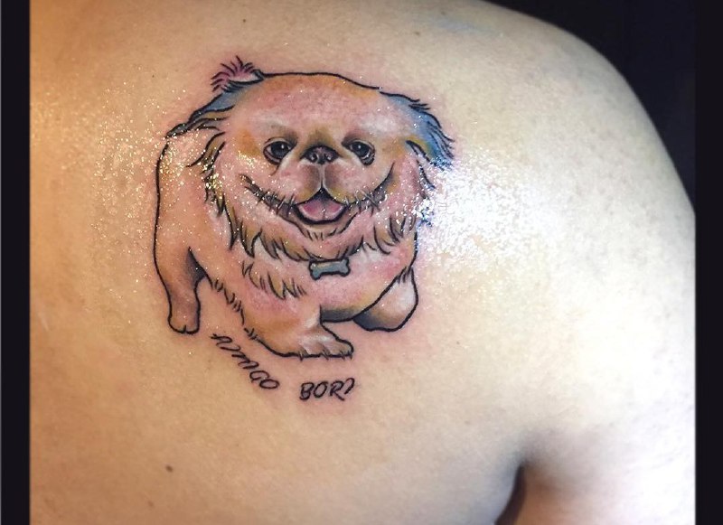 15 Ideas for Pekingese Tattoo 10