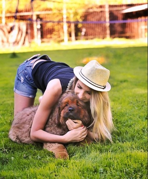 15 Pictures That Prove Tibetan Mastiffs Are Perfect Weirdos 10