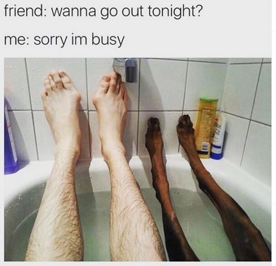 15 Funny Doberman Pinscher Memes To Make Your Day 11