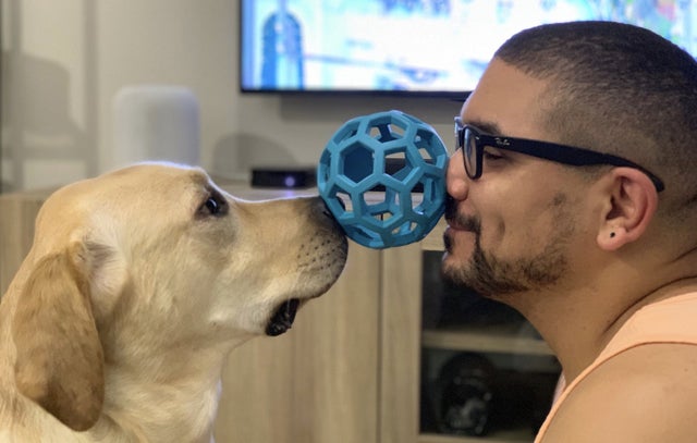 15 Things Only Labrador Owners Will Understand 11