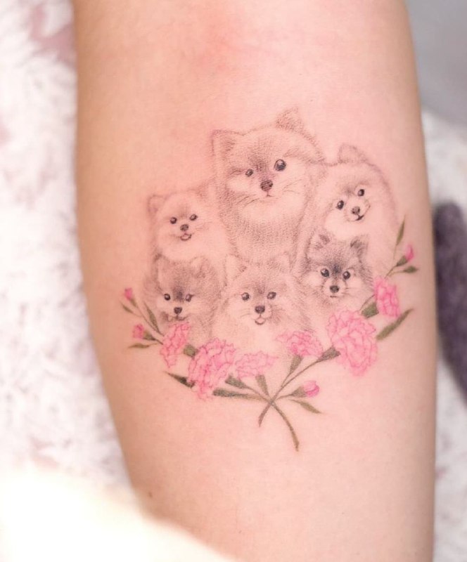 15 Pomeranian Spitz Tattoo Ideas 41 15 Pomeranian Spitz Tattoo Ideas 41