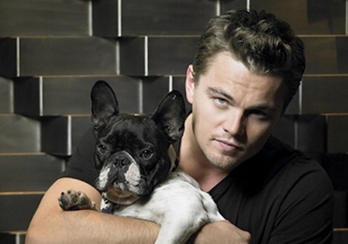 16 Celebrities Who Are Major French Bulldog Lovers