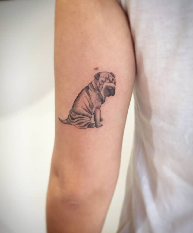 15 Ideas for Shar Pei Tattoo 11