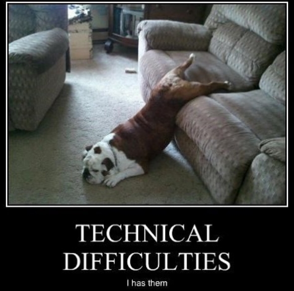 15 Funny English Bulldog Memes To Make Your Day 11 15 Funny English Bulldog Memes To Make Your Day 11