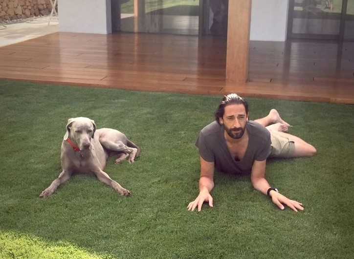 10 Celebrities Who Are Major Weimaraner Lovers 9